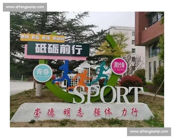 体育管理文化创新与实践模式研究推动竞技与社会发展融合