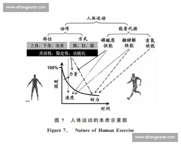 现代体育训练技术创新与科学方法提升运动表现研究 现代体育训练技术创新与科学方法提升运动表现研究