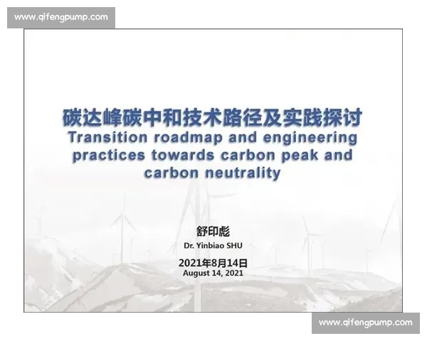 聚焦荣誉奖项评选机制发展历程与影响力的综合研究标题探讨与实践